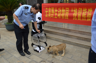 挽留熊猫公益行获森警支持 云南野生动物园透露将如何“挽留熊猫”