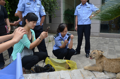 挽留熊猫公益行获森警支持 云南野生动物园透露将如何“挽留熊猫”