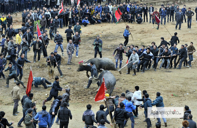 中国日报2013春节图片精选