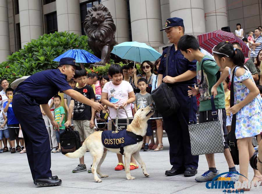 国际禁毒日前夕：与明星缉毒犬亲密接触