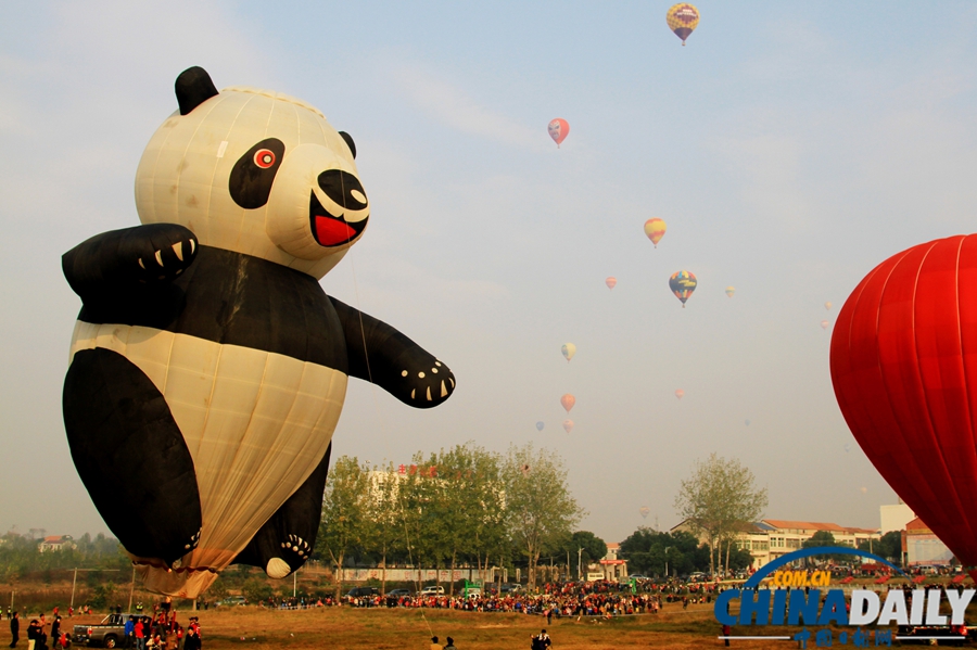 中国日报一周图片精选：10月26日—11月1日