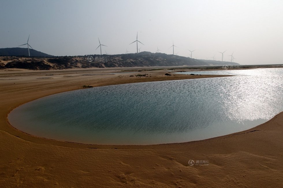 中国最大淡水湖提前枯水变成花海草原