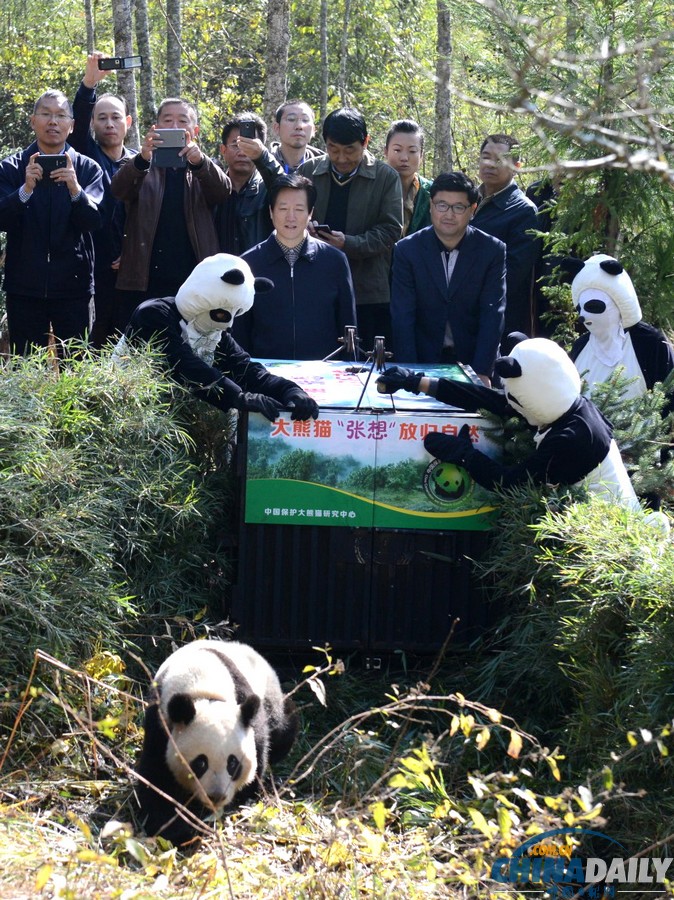 中国日报一周图片精选：11月2日—8日