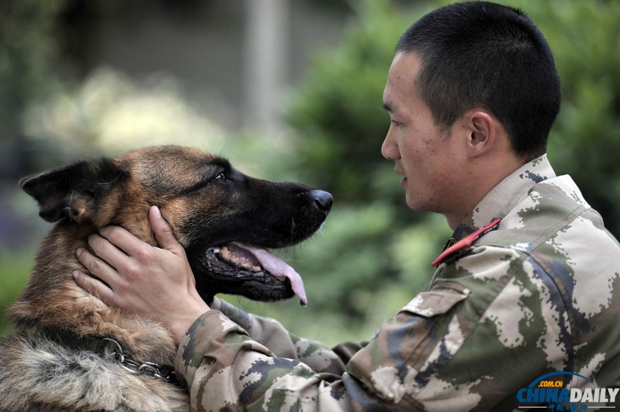 “战友”的特殊告别：人犬分别的感人瞬间