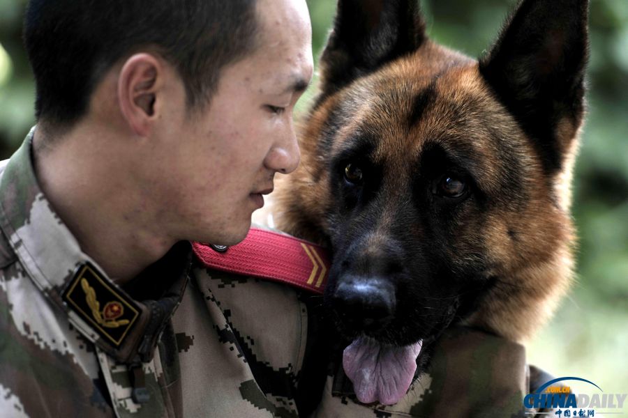 “战友”的特殊告别：人犬分别的感人瞬间