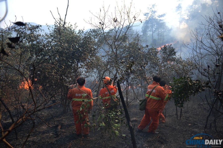 贵州福泉森林火灾被扑灭 5救火人员遇难