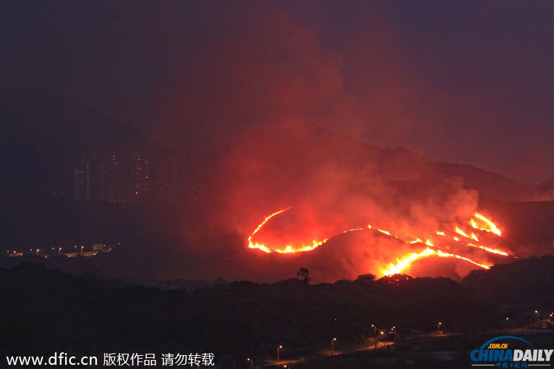 香港一山林突发大火 烧红整座山浓烟随风飘向深圳