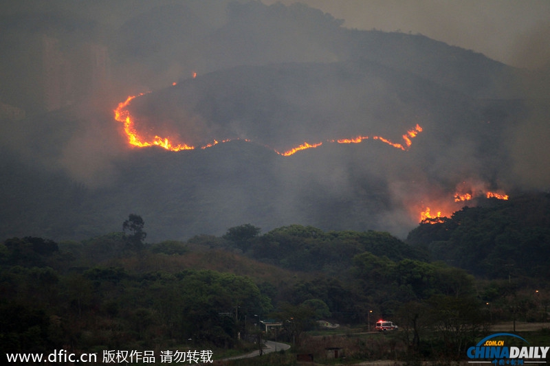 香港一山林突发大火 烧红整座山浓烟随风飘向深圳