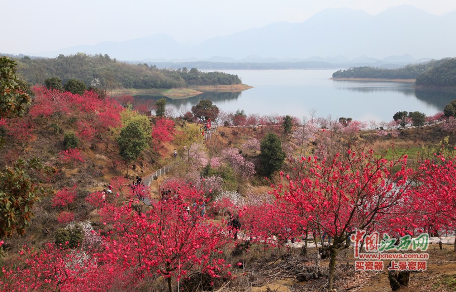 “第六届全国网络媒体江西游”采访团畅游桃花岛