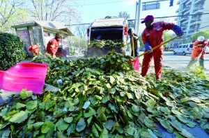 京今迎入冬最冷一天 白天气温最高0℃