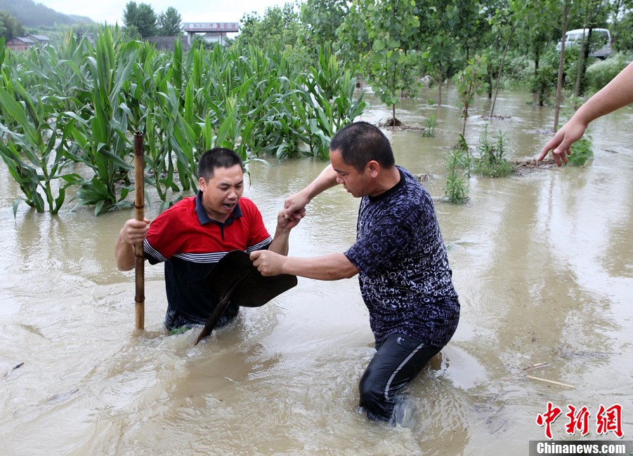 南方近日连遭强降雨 浙江发布首个暴雨黄色预警