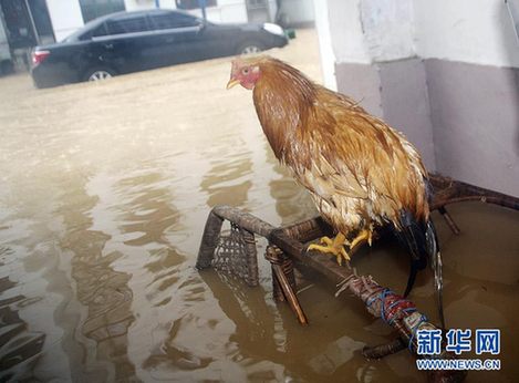 南方多省遭第二轮暴雨袭击 部分城市被洪水围困