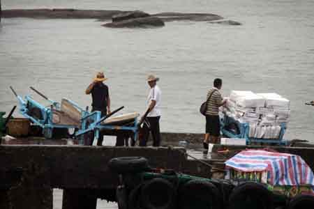 厦门突降阵雨 鼓浪屿游客清凉旅行