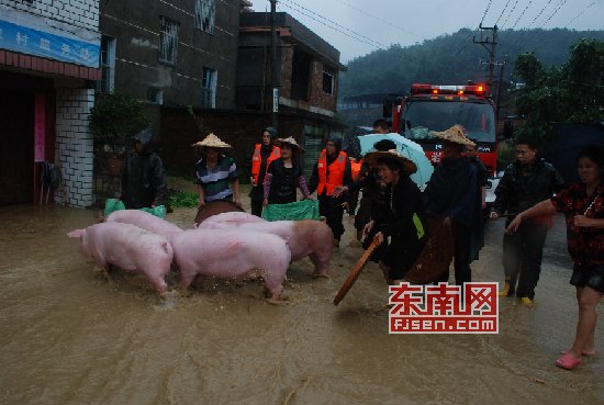 “天兔”发威多地被淹 消防员脸盆当船救出婴儿