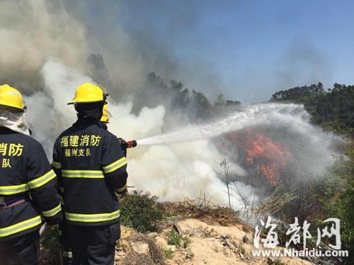 清明临近山林火警频发 文明祭扫须戒“七宗罪”