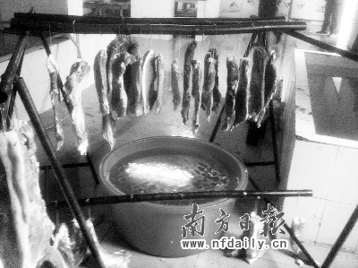 死猪肉熏制后入市 每天1吨问题腊肉流入市场