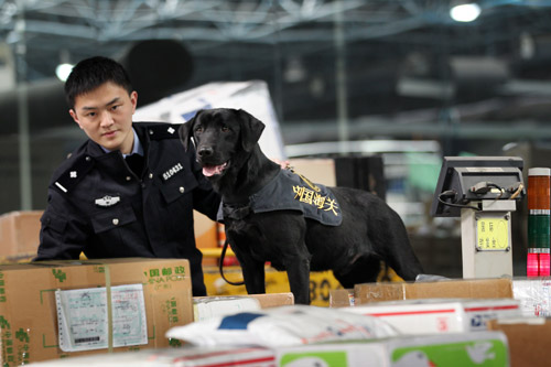 海关训犬员的故事