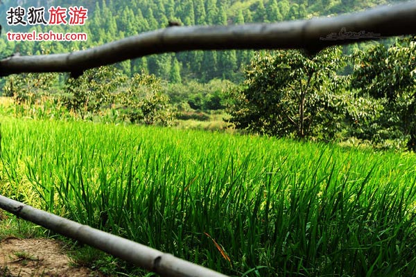 最适合艳遇的地方 桂林山水之旅全攻略