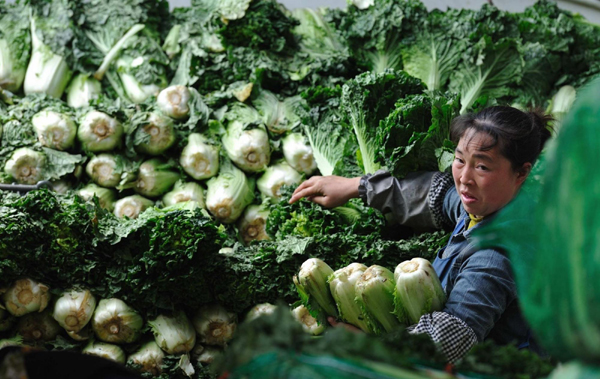 贵阳叶菜类蔬菜价格普遍下跌