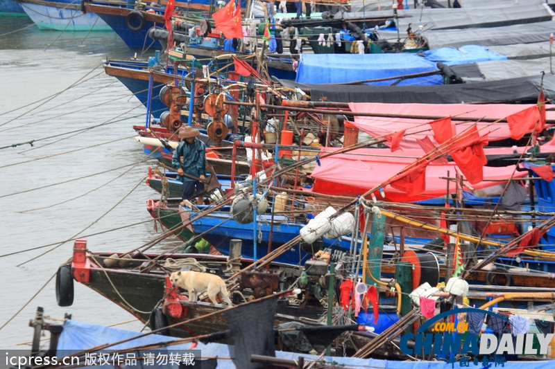 海南防风响应升至III级 台风“百合”致2万余渔船回港避风