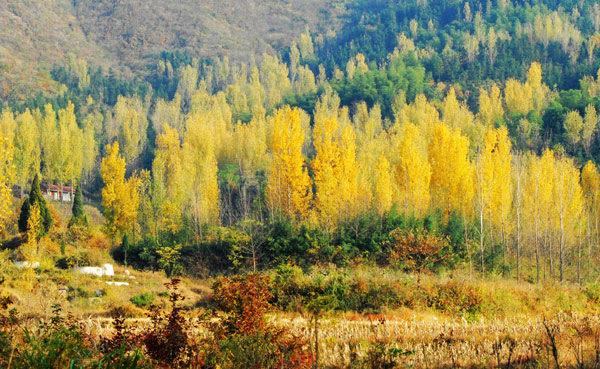 河南固始西九华山冬景如画 （组图）