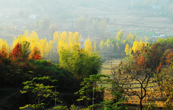 河南固始西九华山冬景如画 （组图）