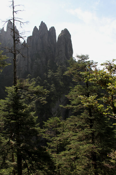 最长栈道揭“神农一景”神秘面纱