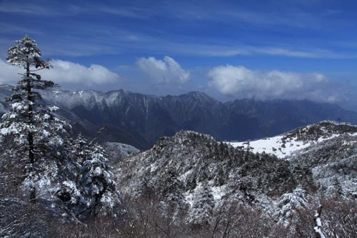 强冷空气致神农架骤降“桃花雪”