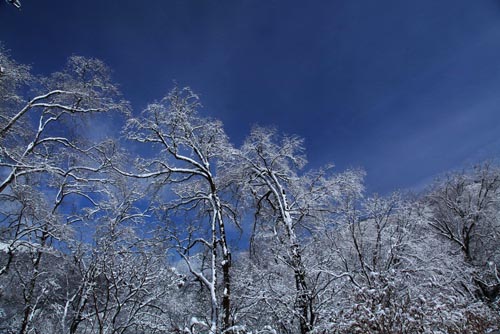 强冷空气致神农架骤降“桃花雪”