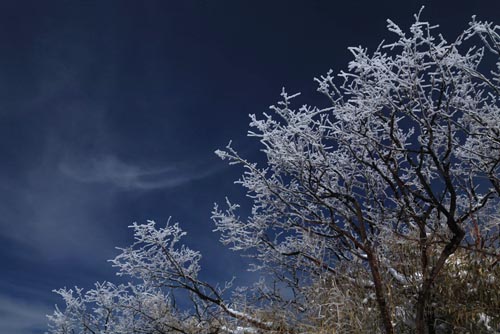 强冷空气致神农架骤降“桃花雪”