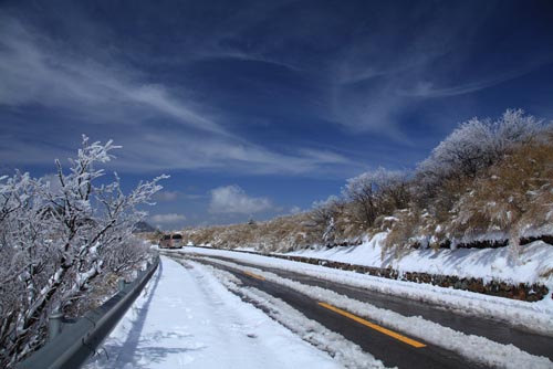 强冷空气致神农架骤降“桃花雪”