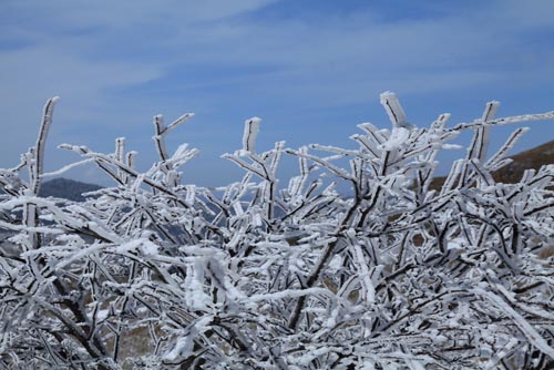 强冷空气致神农架骤降“桃花雪”