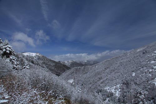 强冷空气致神农架骤降“桃花雪”