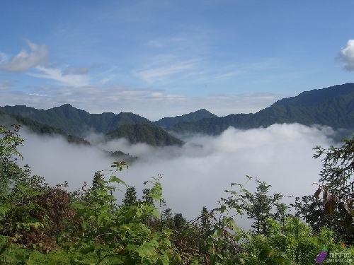 舜皇山森林公园