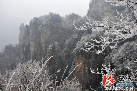 张家界天子山迎来第一场春雪 雾凇冰挂陶醉游客