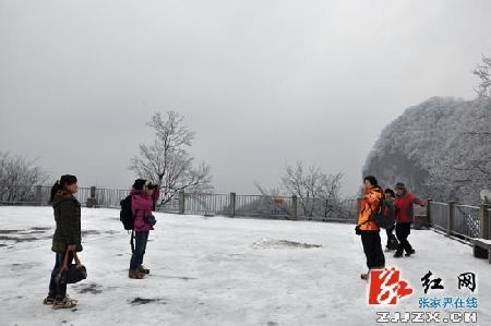 张家界天子山迎来第一场春雪 雾凇冰挂陶醉游客