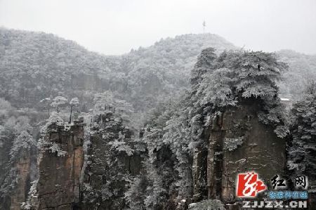 张家界天子山迎来第一场春雪 雾凇冰挂陶醉游客