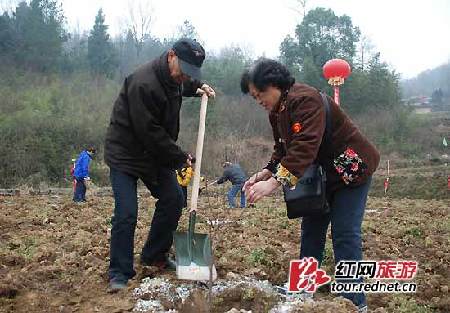 去大峡谷种棵树 张家界启动优质果林助农计划