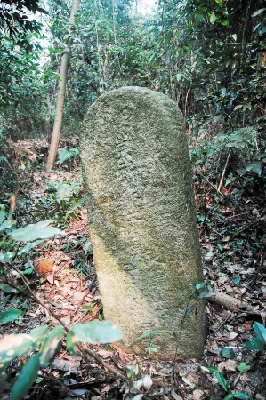 岳麓山寻出300年前古墓 目前为景区最早墓