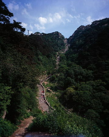 教师节 重走孔圣人“周游列国”路