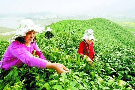 教师节 重走孔圣人“周游列国”路