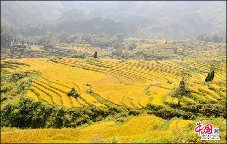 地理中国：花田梯田 挂在天边的风景