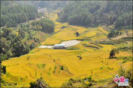 地理中国：花田梯田 挂在天边的风景