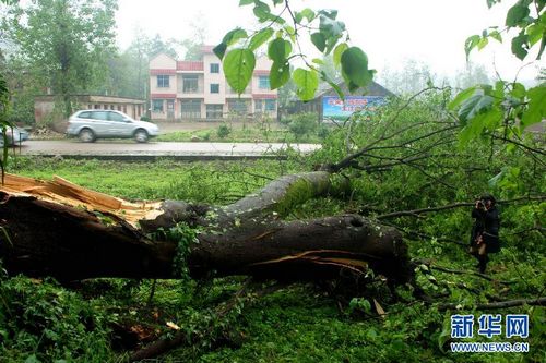 贵州多地遭遇风雹暴雨袭击