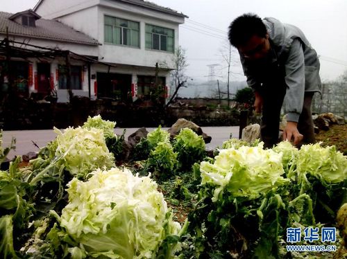 贵州多地遭遇风雹暴雨袭击