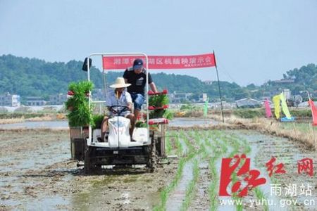 湘潭雨湖区举办水稻机械化插秧演示会受农民热捧