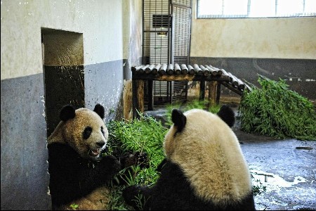 Animals in Ecological Zoo of Changsha, capital of Hunan Province, cope with relentless heat