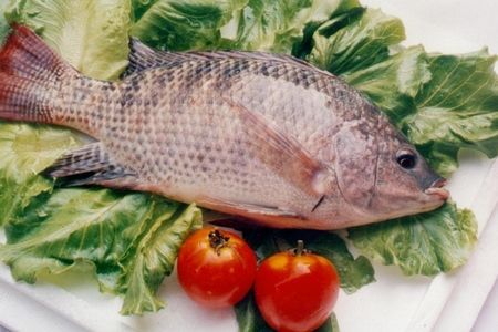 养生必知：饭桌上最常吃的鱼 哪种最营养