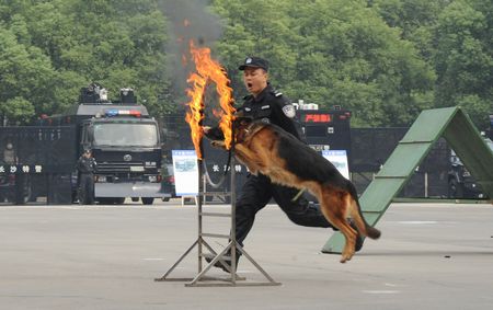 长沙特警揭开神秘面纱 与市民近距离接触(图）