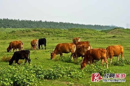 阅山阅水追风景 带孩子沿着新高速过寒假